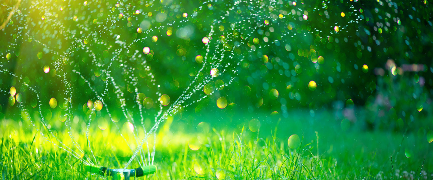 Is Your Sprinkler System Broken?